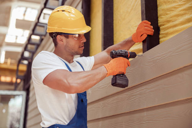 Best Insulated Siding Installation  in Buchanan, MI