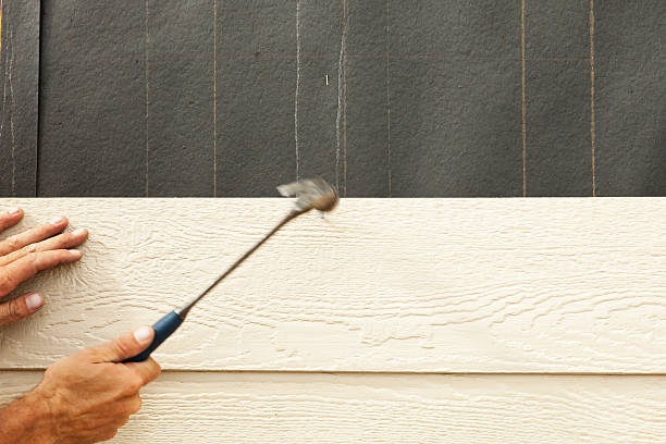 Affordable Siding Repair and Maintenance Services in Buchanan, MI