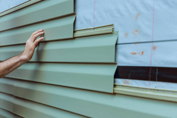 Best Stone Veneer Siding  in Buchanan, MI