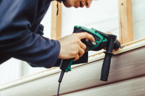 Best Steel Siding Installation  in Buchanan, MI